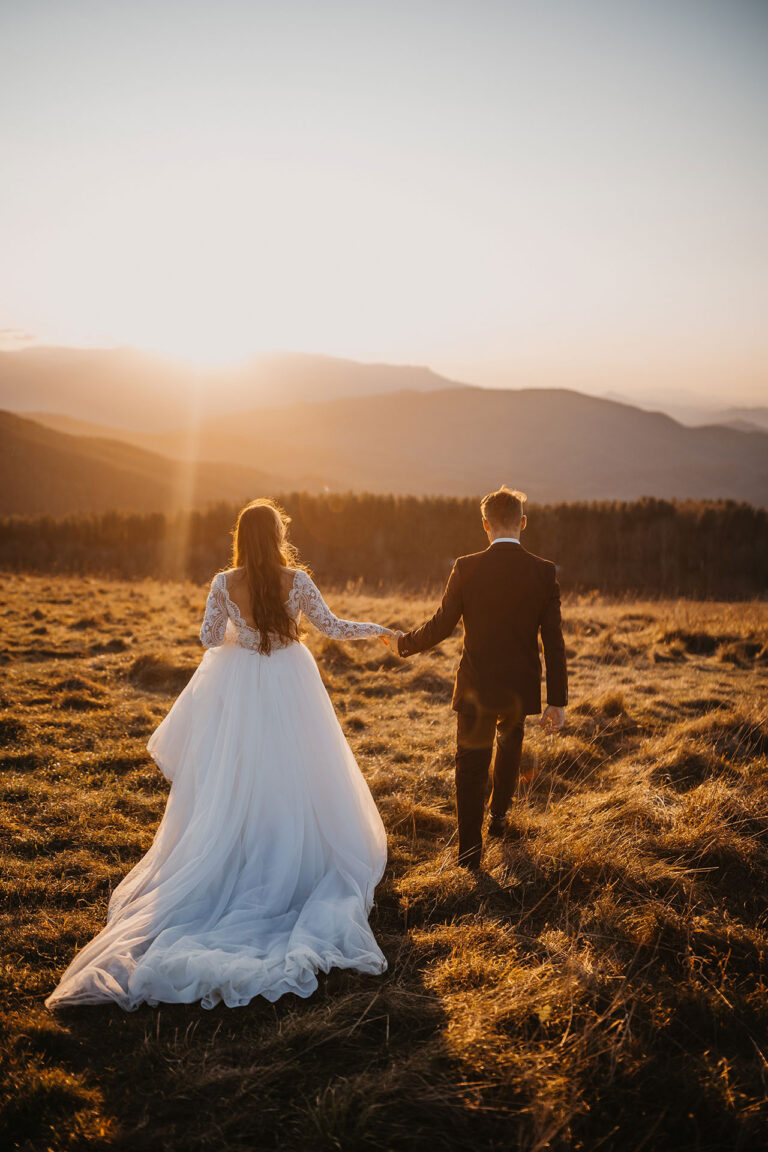 Photo sépia d’un couple récemment marié, vu de dos dans une prairie avec des montagnes en arrière-plan